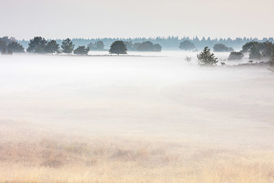 BUITEN BEELD Foto: 338162