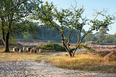 BUITEN BEELD Foto: 338182