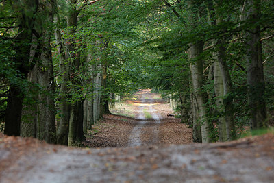 BUITEN BEELD Foto: 338183