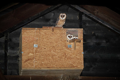 BUITEN BEELD Foto: 338224