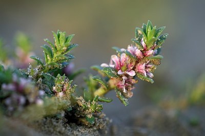 BUITEN BEELD Foto: 338468