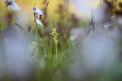 BUITEN BEELD Foto: 338581