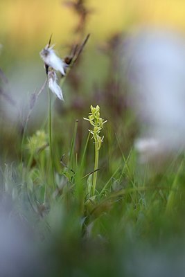 BUITEN BEELD Foto: 338582