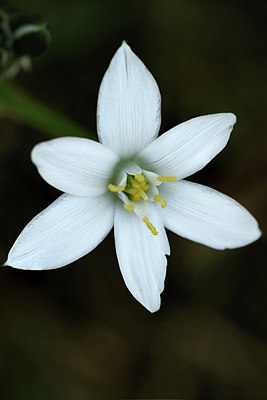 BUITEN BEELD Foto: 338622