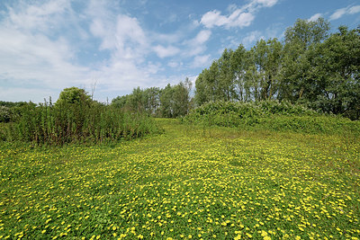 BUITEN BEELD Foto: 338731