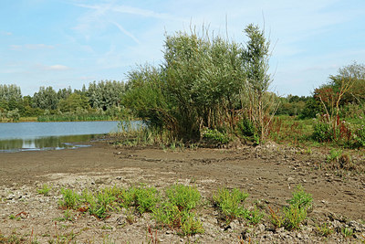 BUITEN BEELD Foto: 338765