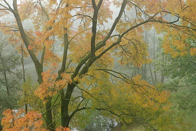 BUITEN BEELD Foto: 338772