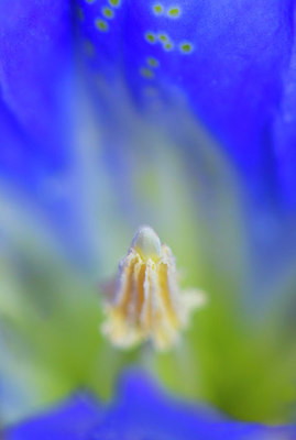 BUITEN BEELD Foto: 338837