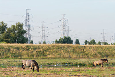 BUITEN BEELD Foto: 338849