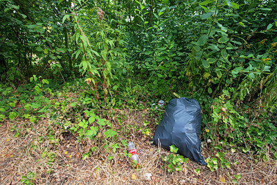 BUITEN BEELD Foto: 338938