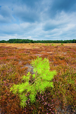 BUITEN BEELD Foto: 338965