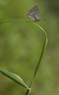 BUITEN BEELD Foto: 33052