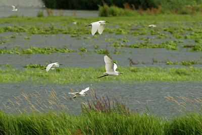 BUITEN BEELD Foto: 33084