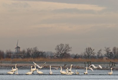 BUITEN BEELD Foto: 33085