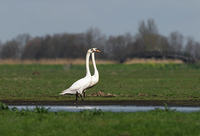 BUITEN BEELD Foto: 33096