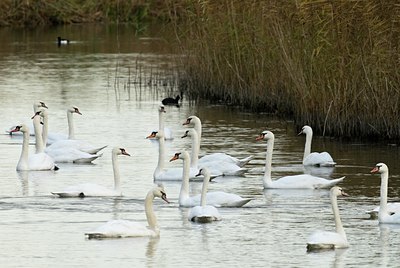 BUITEN BEELD Foto: 33097