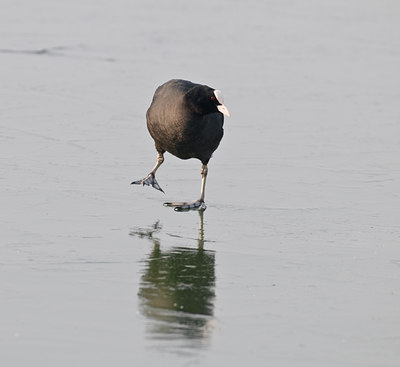 BUITEN BEELD Foto: 33125