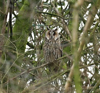 BUITEN BEELD Foto: 33162