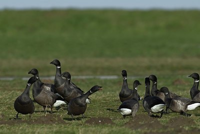 BUITEN BEELD Foto: 33226