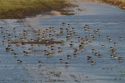 BUITEN BEELD Foto: 33286