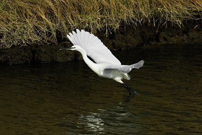 BUITEN BEELD Foto: 33300