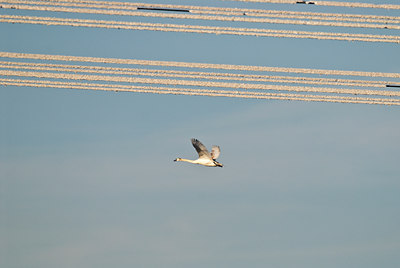 BUITEN BEELD Foto: 33315