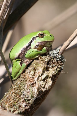 BUITEN BEELD Foto: 33472