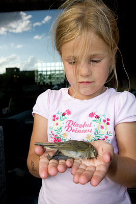 BUITEN BEELD Foto: 33485