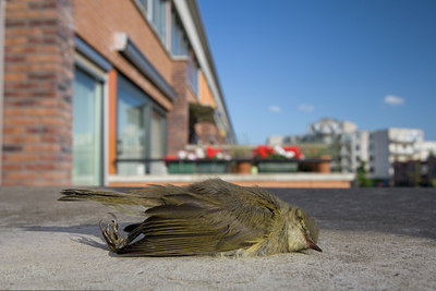 BUITEN BEELD Foto: 33488