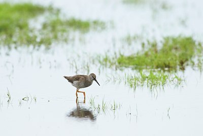 BUITEN BEELD Foto: 33513