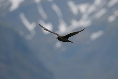 BUITEN BEELD Foto: 33531