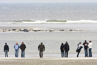 BUITEN BEELD Foto: 33545