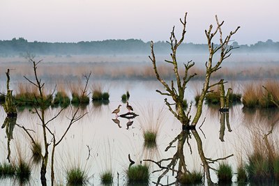 BUITEN BEELD Foto: 33761