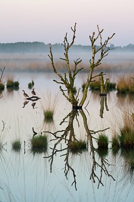 BUITEN BEELD Foto: 33762