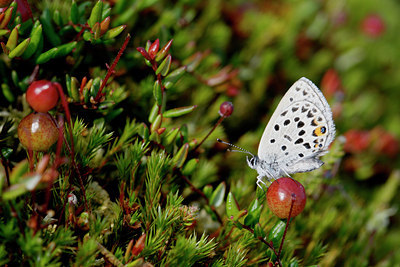 BUITEN BEELD Foto: 33787