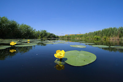 BUITEN BEELD Foto: 33884