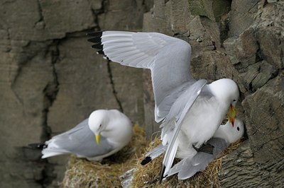BUITEN BEELD Foto: 33900