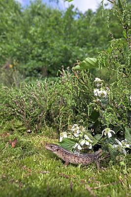 BUITEN BEELD Foto: 33954