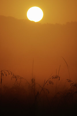 BUITEN BEELD Foto: 33967