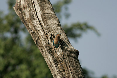 BUITEN BEELD Foto: 33977