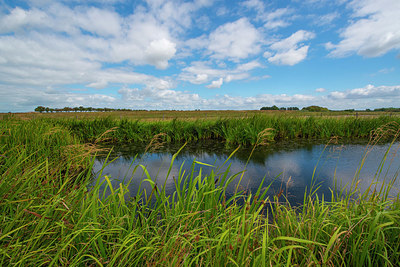 BUITEN BEELD Foto: 339044