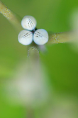 BUITEN BEELD Foto: 339084