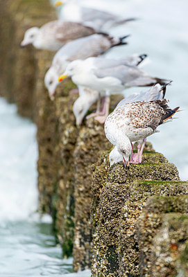 BUITEN BEELD Foto: 339095