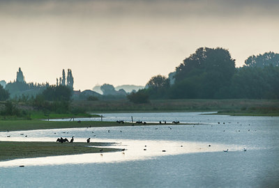 BUITEN BEELD Foto: 339102