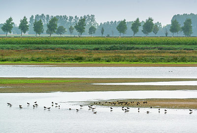 BUITEN BEELD Foto: 339108
