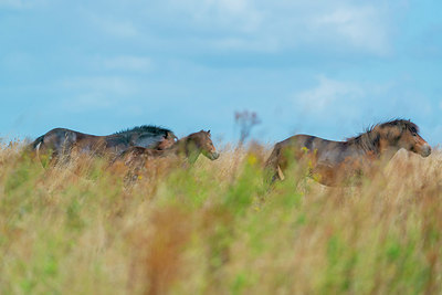 BUITEN BEELD Foto: 339132