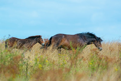 BUITEN BEELD Foto: 339145