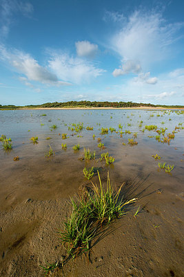 BUITEN BEELD Foto: 339181