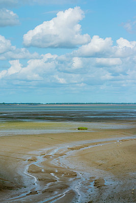 BUITEN BEELD Foto: 339275
