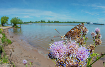 BUITEN BEELD Foto: 339314